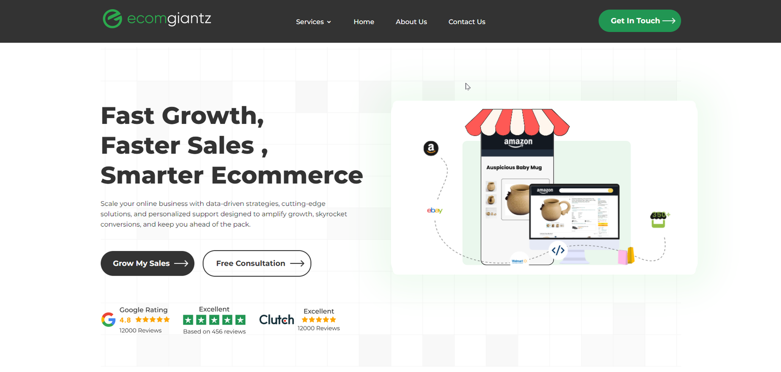 ecomgiantz- A E-Commerce based Digital Agency Website